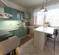 A kitchen in a family house with a tiled floor and green cabinets.
