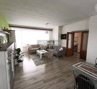 A living room in a family house with a wooden decor floor, light couches, green wall.