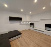 Living room in a two-room apartment with a sofa and wooden decor flooring.