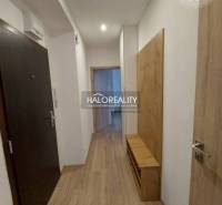 A hallway in a 2-room apartment with a wooden decor floor and a coat rack wall.