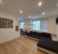 Living room in a two-room apartment with a sofa and wooden decor flooring.