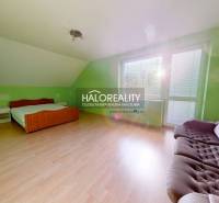 Green room in a family house with wood-patterned flooring and furniture.
