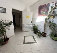 An interior with green plants, paintings, and open doors on the tiles.