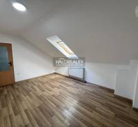 A studio apartment with a wooden floor, a skylight, and white walls.