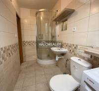 A studio apartment bathroom with a toilet, shower, and tiles in neutral tones.
