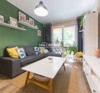 Living room in a 3-room apartment with a sofa, coffee table, and wooden decor flooring.