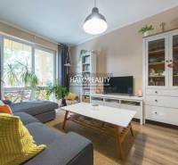 Living room in a 3-room apartment with a comfortable sofa, light, and wooden decor flooring.
