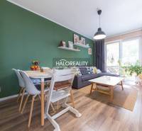 Living room in a three-room apartment with a wooden decor floor, green walls, and large windows.