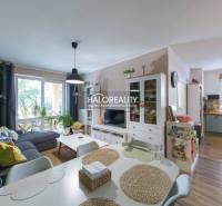 Living room in a three-room apartment with a wooden decor floor and a glass display cabinet.
