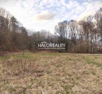 A grassy clearing surrounded by forest on recreational grounds in Ladomerská Vieska.