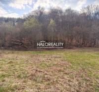 Recreational lands of Ladomerská Vieska surrounded by forest and grassy area.