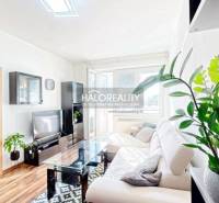 Living room in a 3-room apartment with a wooden decor floor and a white sofa.