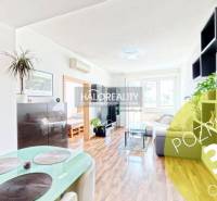 Bright living room in a 3-room apartment with wood-patterned flooring and plants.