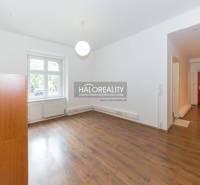 Living room in a five or more room apartment with wooden flooring and a large window.