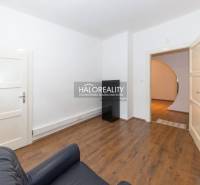 A bright room in a 5 or more room apartment with wooden flooring and a sofa.