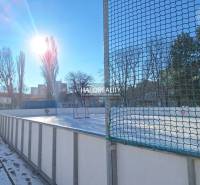 The ice rink in Petržalka, Bratislava, surrounded by trees and sunny weather.
