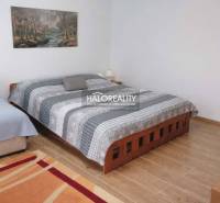 A bedroom with a bed, a sofa, and a wooden decor floor in a family house.