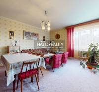Living room in a family house with a dining table and plants in the corner.