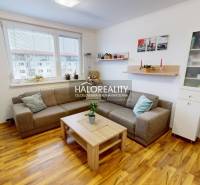 Living room in a two-room apartment with a wooden decor floor and a comfortable sofa.