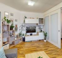 Living room with wooden floor decor, cozy decorations, and houseplants in a two-room apartment.