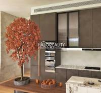 A kitchen in a 3-room apartment with a wooden decor floor and a decorative tree.
