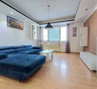 Living room in a three-room apartment with a wooden decor floor and a blue sofa.