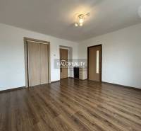 Living room in a two-room apartment with a wooden decor floor and a built-in wardrobe.