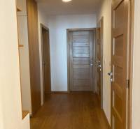 A bright hallway with doors and a wooden decor floor in a 3-room apartment.