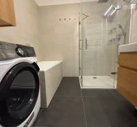 Bathroom with a shower, washing machine, and bathtub in a 3-room apartment.