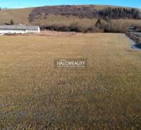 Extensive green plot designated for residential use in Gôtovany, close to the road and forest vegetation.
