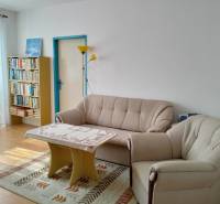 Living room in a two-room apartment with a sofa, an armchair, a bookshelf, and a window.