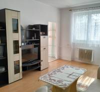 Living room with seating, furniture, and wood-patterned flooring in a two-room apartment.