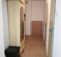 A hallway in a 2-room apartment with a wooden decor floor and built-in wardrobes.