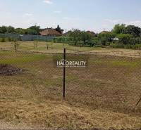Gardens in Marcelová with a grassy surface and fencing, trees in the background.