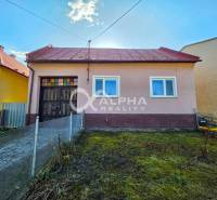 A family house in Spišské Vlachy with a garden and a garage, surrounded by green grass.