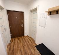 Entrance hallway in a 2-room apartment with a wooden decor floor and a wooden coat rack.