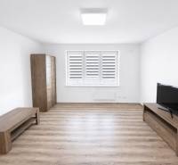 Living room in a 2-room apartment with wood-patterned flooring, furniture, and a television.