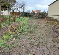 A garden with grass and trees in the section for Residential Land in Levice.
