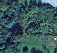 Aerial view of a plot of land, overgrown with trees, ideal for plots and housing.