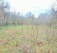 A plot of land for housing in Levice with growing trees and grass.