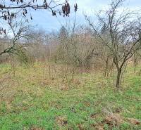 Lands - housing in Levice with vegetation and grassy surface.