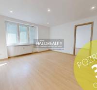 Bright living room in a two-room apartment with wood-patterned flooring.