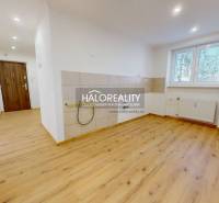 Interior of a 2-room apartment with a wooden decor floor and an empty kitchen.