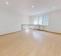 A spacious room in a 2-room apartment with a wood-patterned floor and a large window.