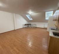 Studio apartment with a kitchenette, slanted ceilings, and a wooden decor floor.