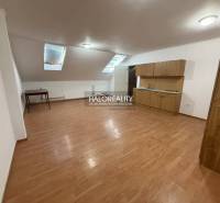Studio apartment with wood-patterned flooring, a kitchenette, and two skylights.