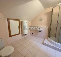 A bathroom in a studio apartment with a shower, sink, and toilet.