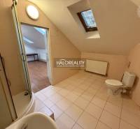 A bathroom in a studio apartment with a corner shower and tiles, floor with a wooden decor.