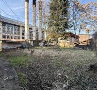 The garden of a family house in Rimavská Sobota with trees and an adjacent building.