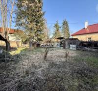 A garden surrounding a family house in Rimavská Sobota with grass and trees.